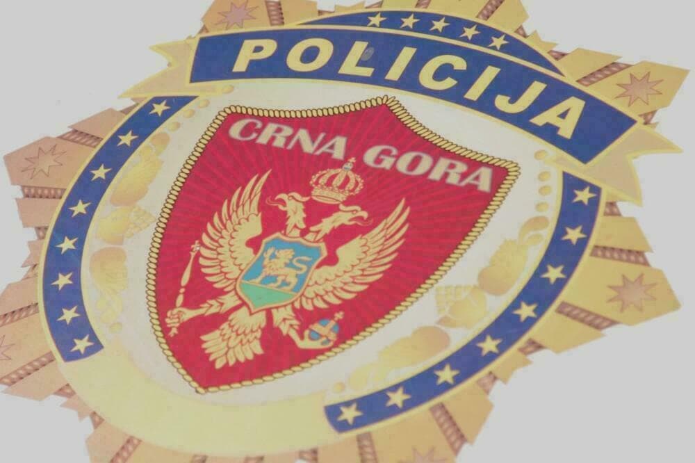 Policajci u kontroli na ulazu