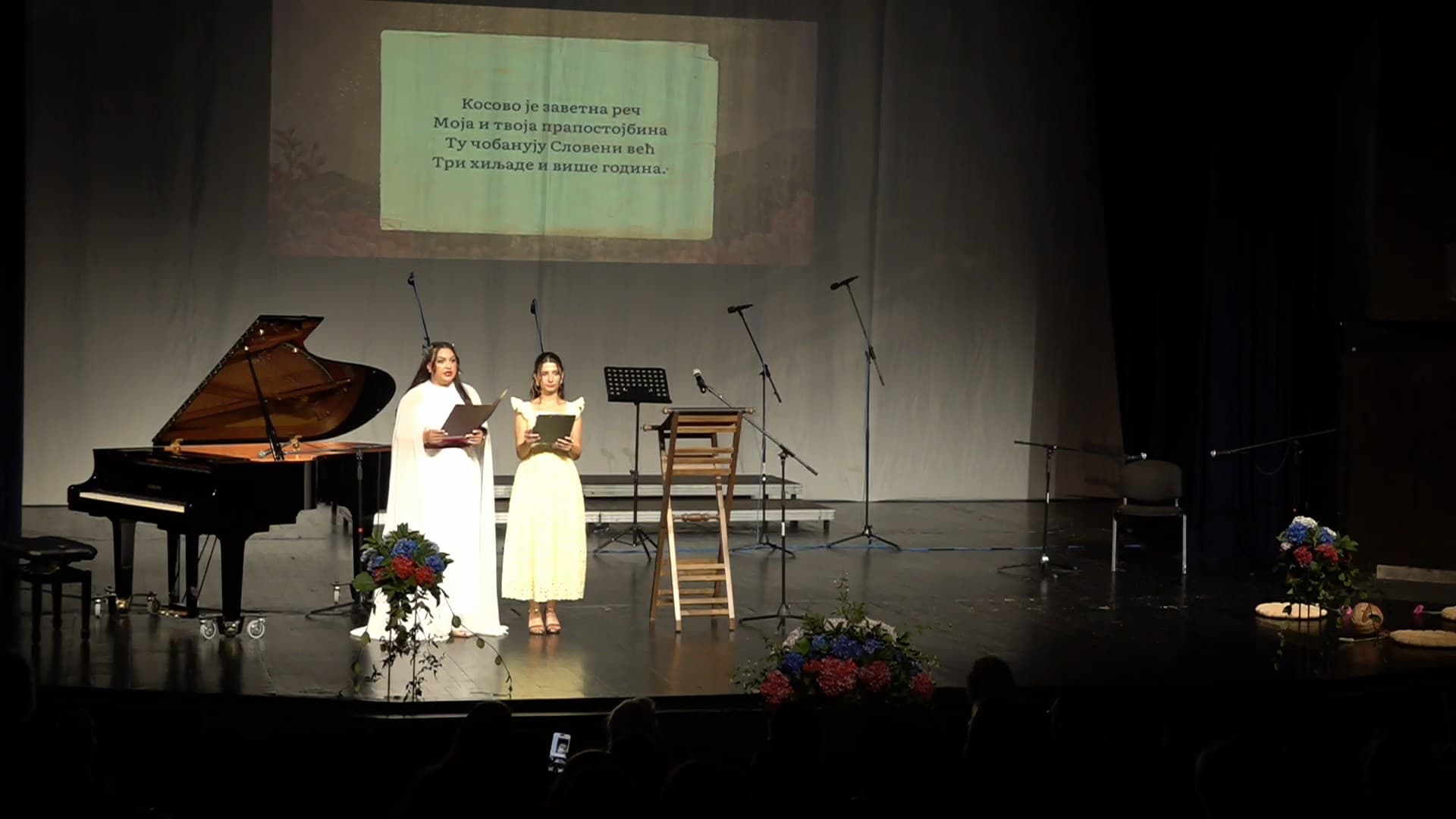Vidovdanska akademija u Dvorani Park u Herceg Novom